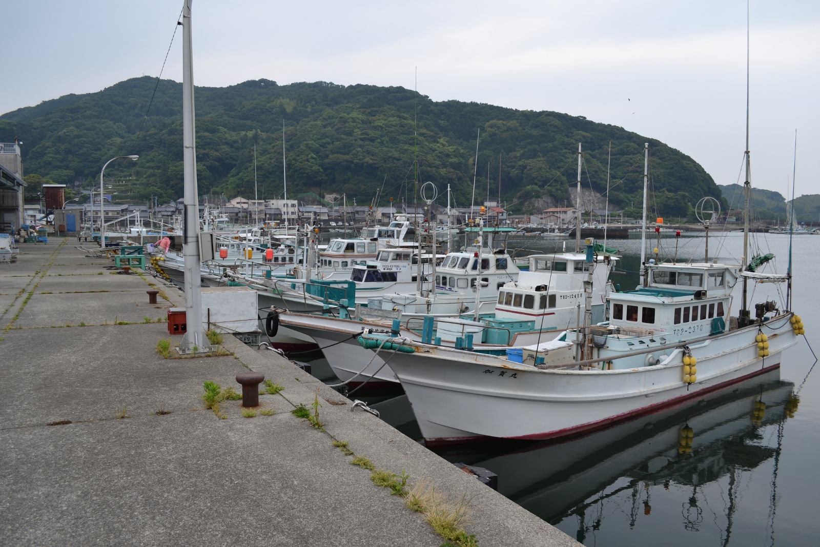 徳島県南部地域漁港